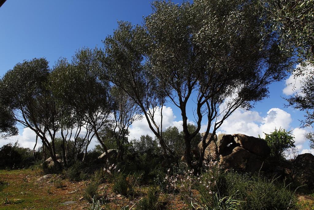 ארזח'ינה B&B Terra E Smeralda מראה חיצוני תמונה